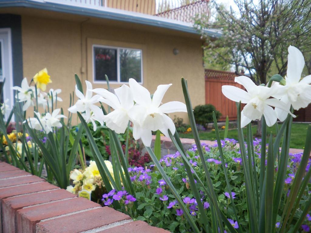 Lakeside Villa & Nordic Spa Penticton Exterior foto